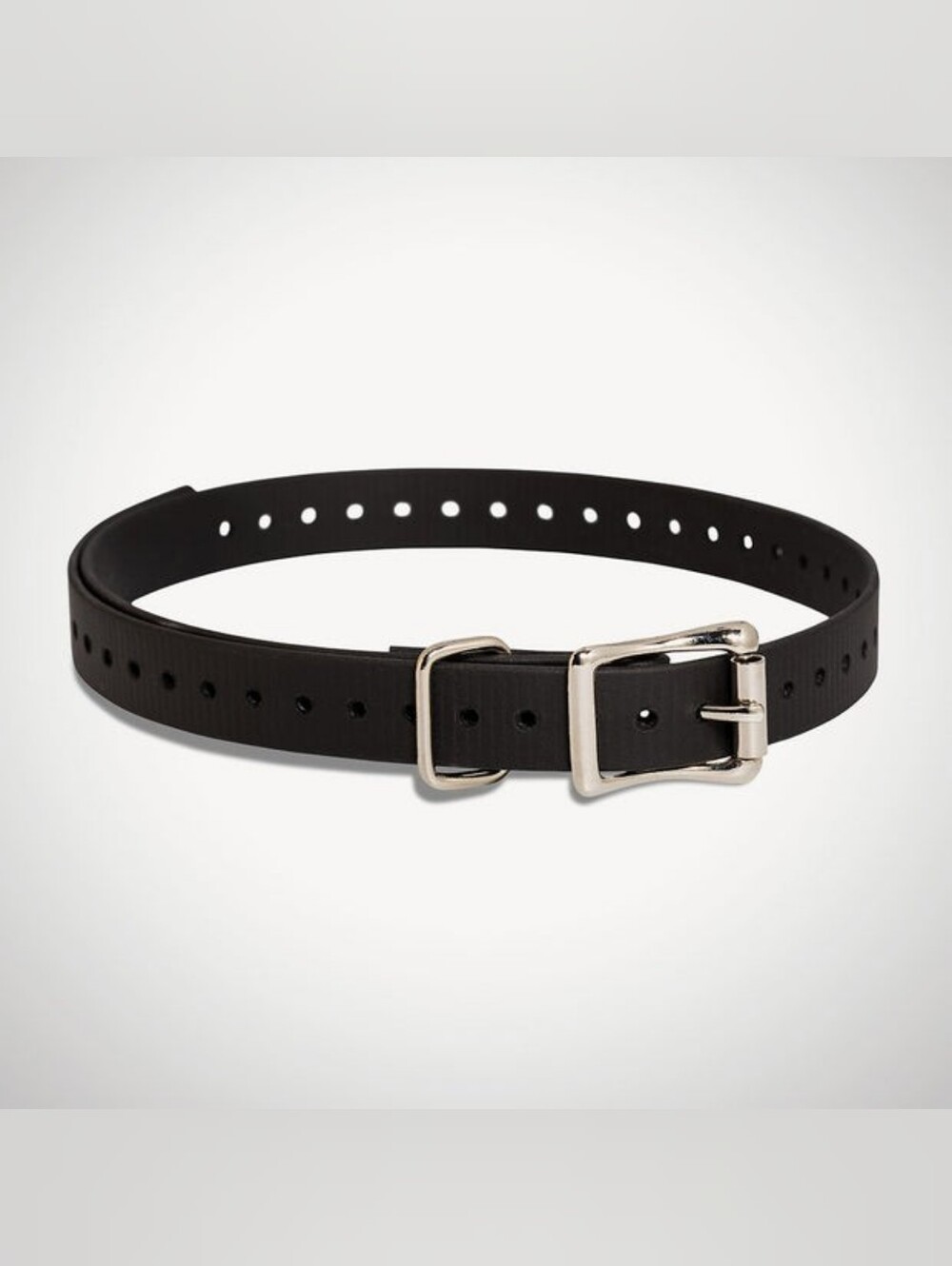 Replacement 3/4" Collar Strap Sportdog Brand